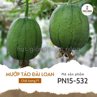 Hạt giống cây mướp táo đài loan - 5 hạt