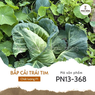 Hạt giống bắp cải trái tim - 100 hạt
