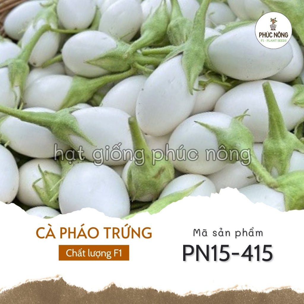 Hạt giống Cà Pháo Trứng Trắng - 40 Hạt