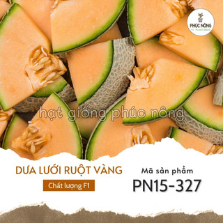 Hạt giống dưa lưới ruột vàng - 20 hạt