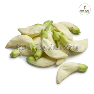 50 hạt - (Hỏa tốc) Hạt giống Cây So Đũa Trắng