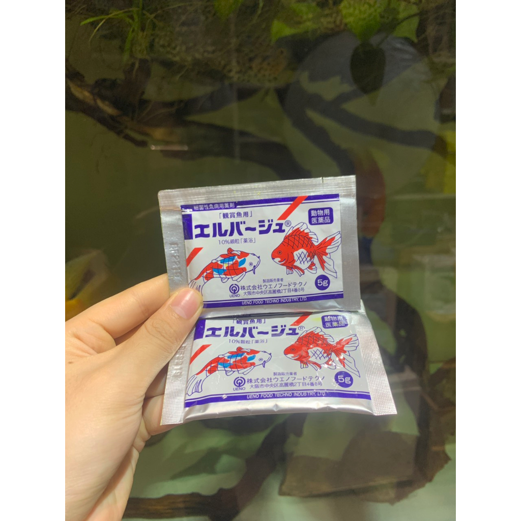 Tettra Nhật gói 5g dưỡng cá khoẻ, xử lý nấm cho cá cảnh