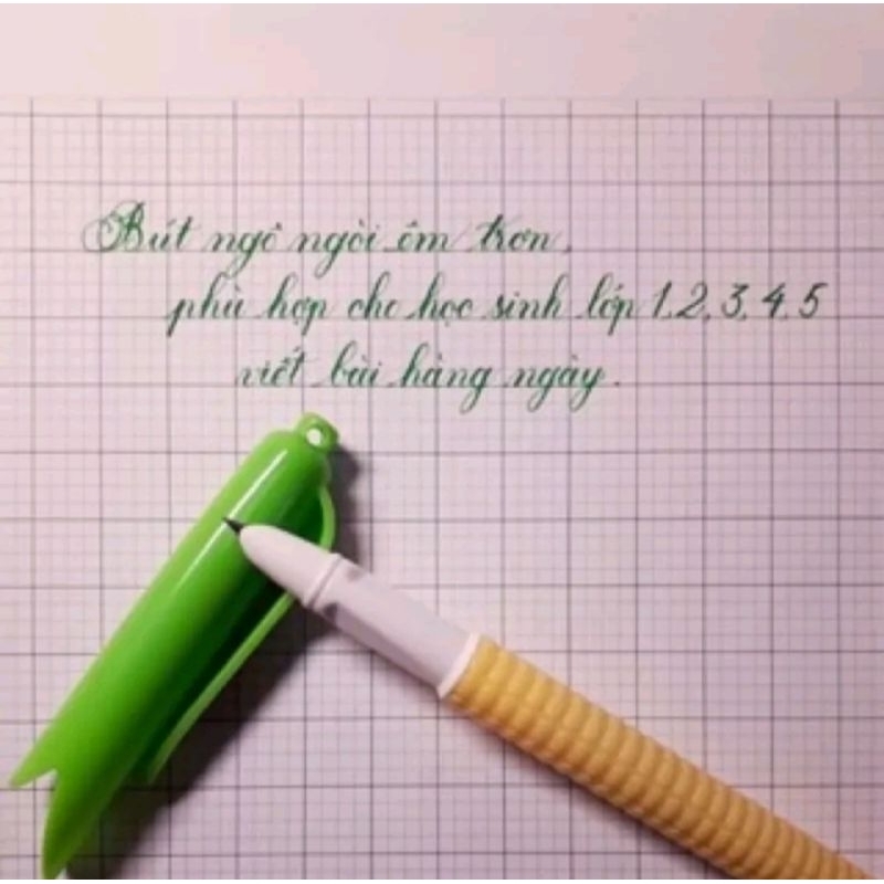 🌈🌽🎋BÚT NGÔ XINH TƯƠI🏵🌿🌾