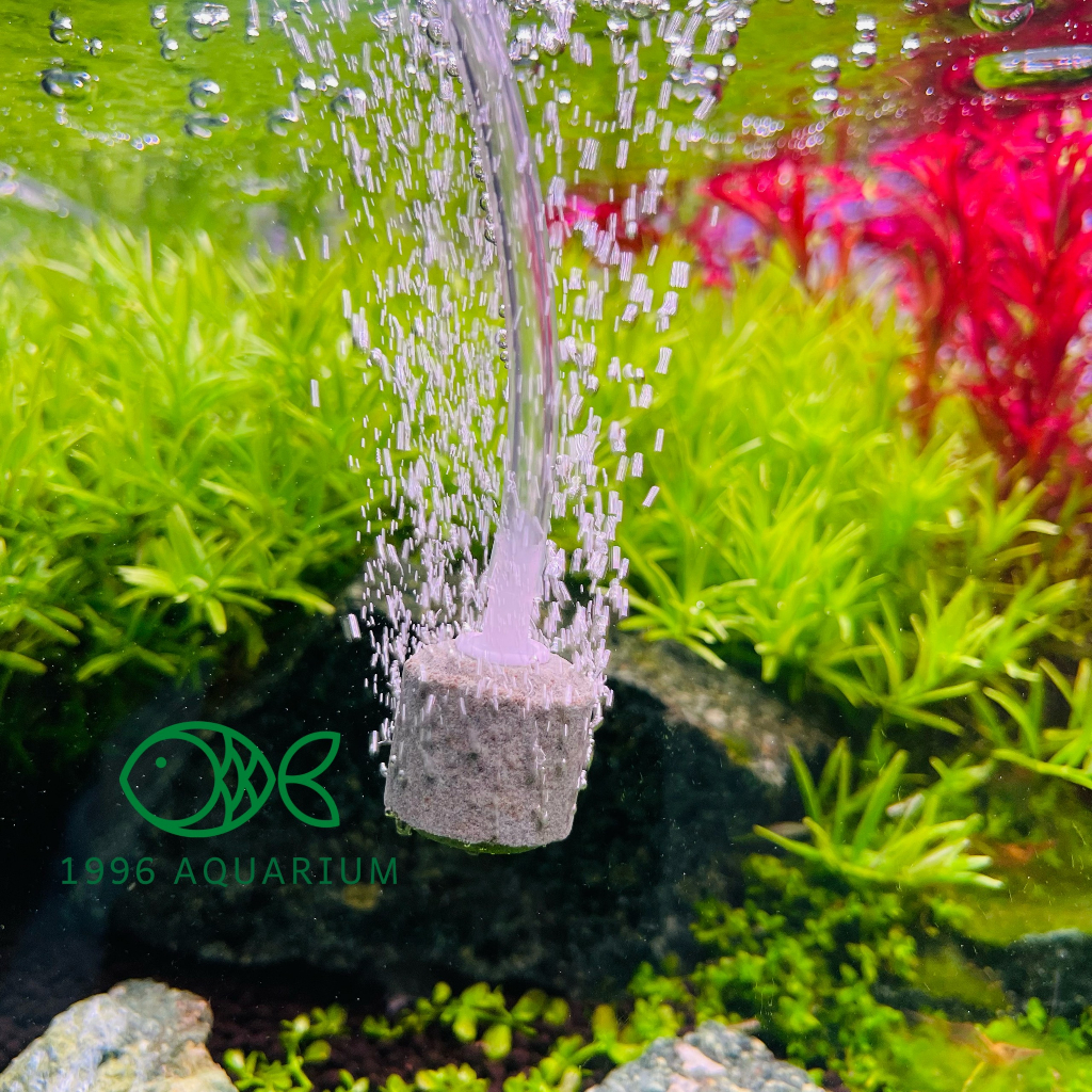 Sủi Oxy USB siêu êm cho bể cá