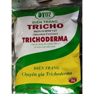 Nấm đối kháng tricoderma