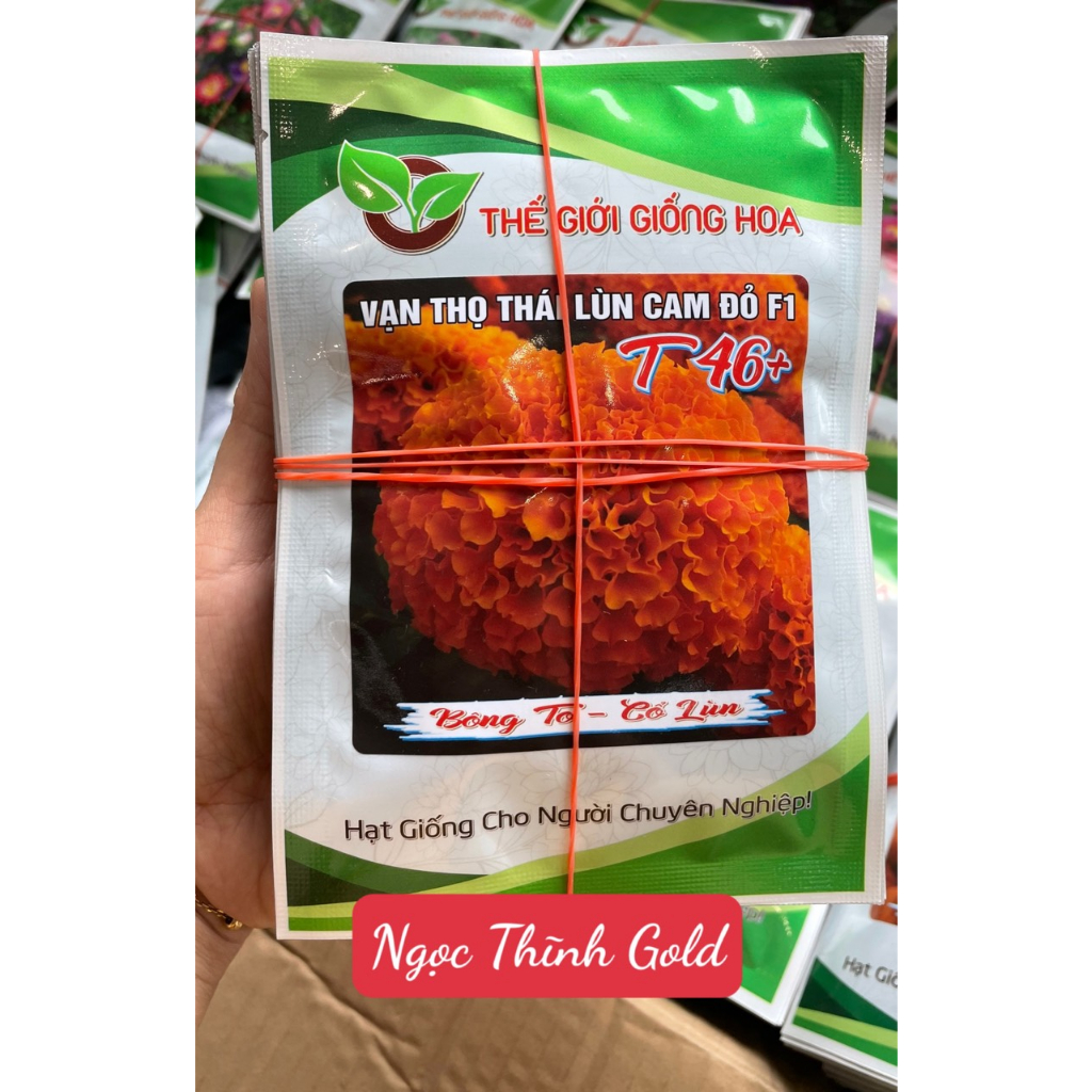 Hạt giống hoa vạn thọ thái lùn cam đỏ T46+ (bông to, cổ lùn) -1g