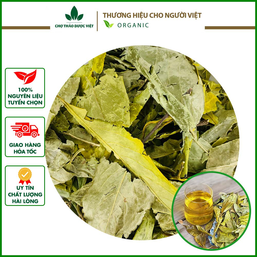 Chè dung khô 100g, hỗ trợ giảm đau dạ dày, đại tràng, tốt cho tiêu hóa - Chợ Thảo Dược Việt