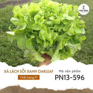 Hạt giống xà lách sồi xanh oakleaf - 2 gram