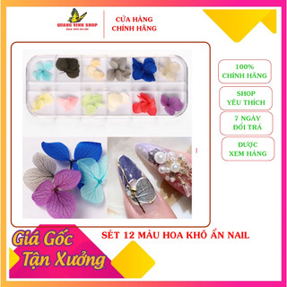 Sét 12 màu hoa khô nhật bản ẩn nail