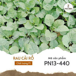 Hạt giống rau cải rổ - 1200 hạt