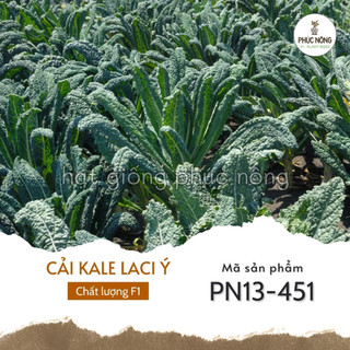 Hạt giống cải kale laci ý - 100 hạt