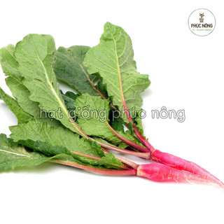 Hạt giống Củ Cải Đỏ Dài - 2 Gram