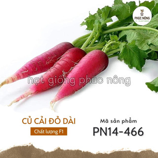 Hạt giống củ cải đỏ dài - 2 gram