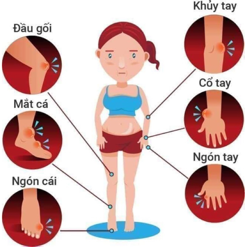 Viên uống Gout Clear Hộp 60 viên