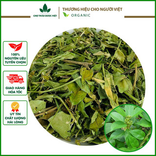 Dây thìa canh khô, xanh, đẹp 100g - Chợ Thảo Dược Việt