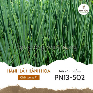 Hạt giống hành lá - 2 gram