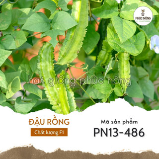 Hạt giống cây đậu rồng - 10 gram