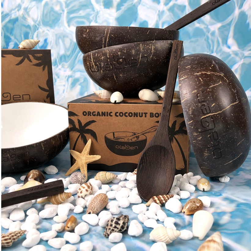 Olaben Nutrition combo Chén Gáo Dừa + Muỗng Gỗ Dừa Handcarved Coco