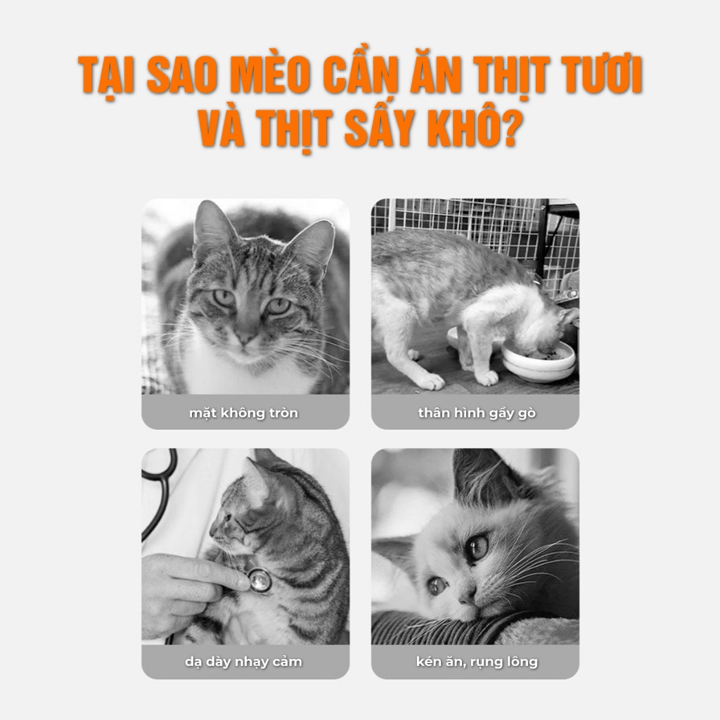 Gà Viên Sấy Khô Ăn Vặt Dành Cho Chó Mèo - 100G