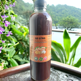Ge gừng - chai 500ml - phân bón hữu cơ, kích kie, kích mầm, kích rễ.