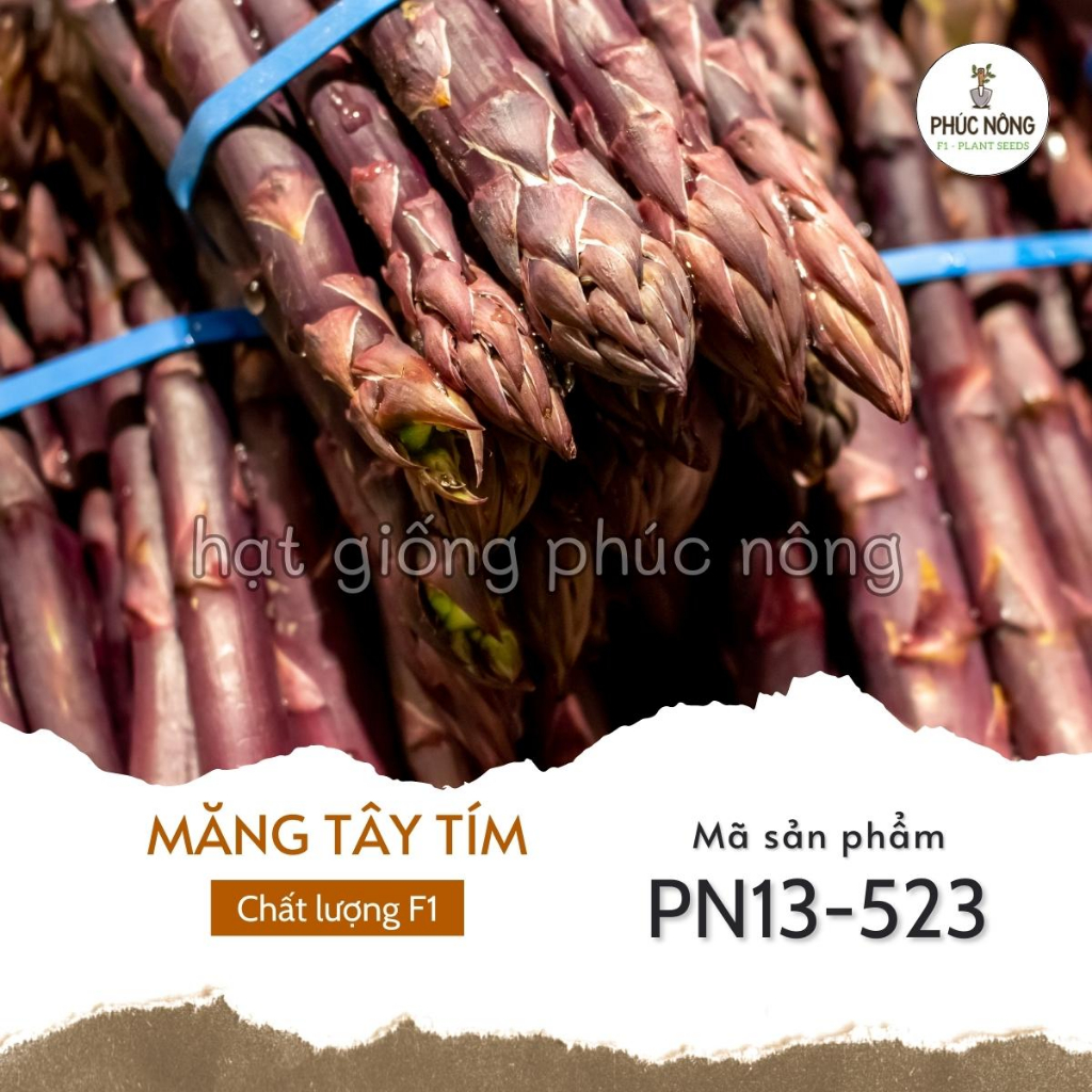 Hạt giống Măng Tây Tím - 10 Hạt