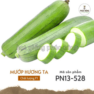 Hạt giống cây mướp hương ta - 10 hạt