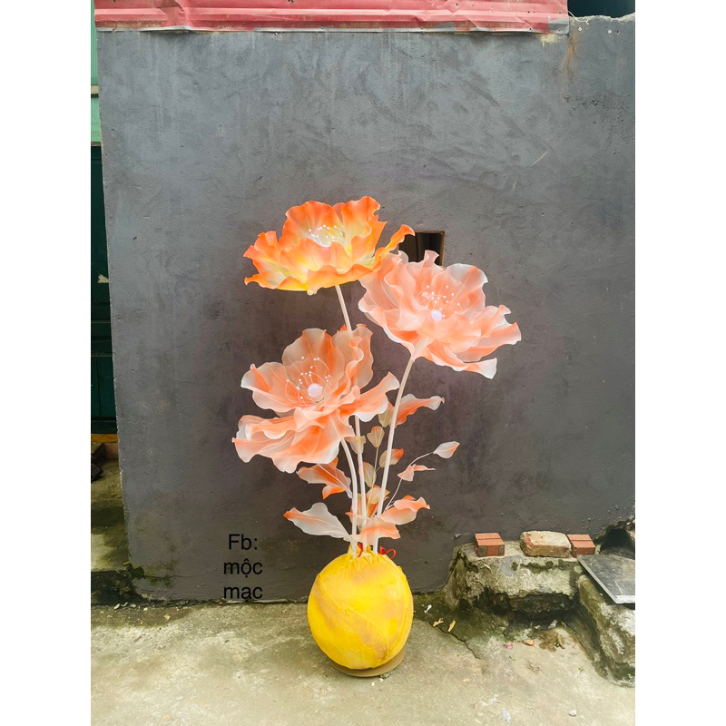 Củ 3 hoa khổng lồ màu cam cháy phố dùng decor trang trí các nơi rất nổi bật, độc đẹp hút khách, hút mọi ánh nhìn.