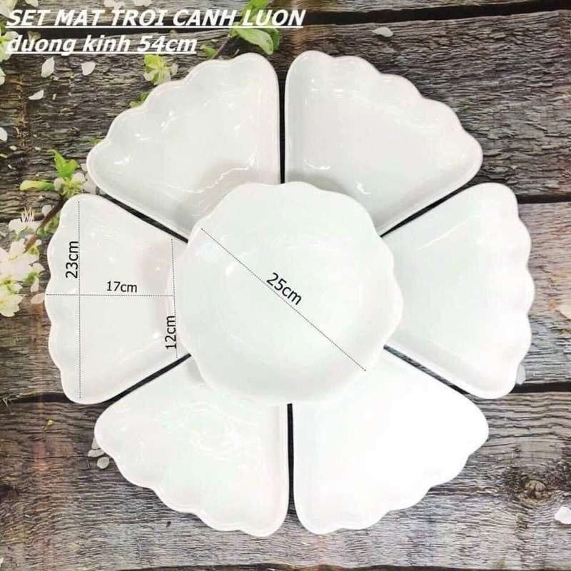 BỘ BÁT ĐĨA HOA MĂT TRỜI HÀNG LOẠI 1