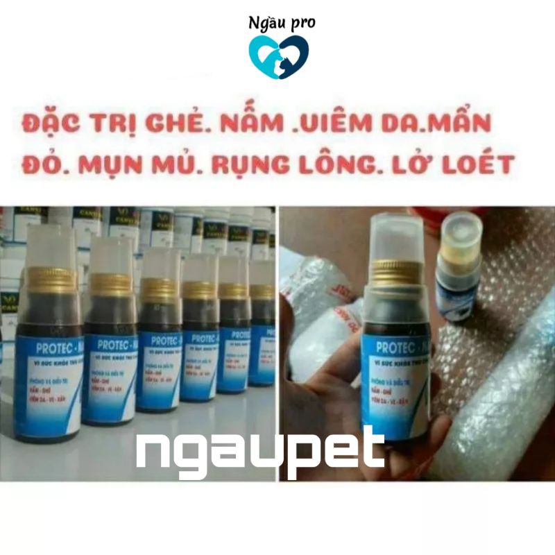 PROTEC NANO - Đặc trị ghẻ nấm viêm da chó mèo mức độ nặng do ve rận bọ chét ký sinh trùng gây ra chai lọ 70ml Ngaupet