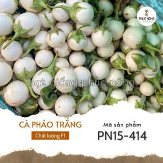 Hạt giống cây cà pháo trắng - 1 gram