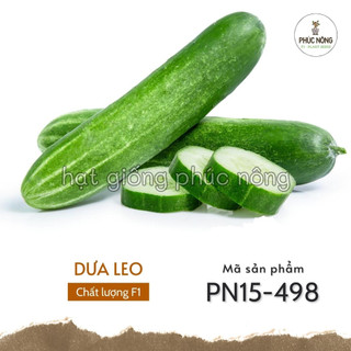 Hạt giống dưa leo - 25 hạt