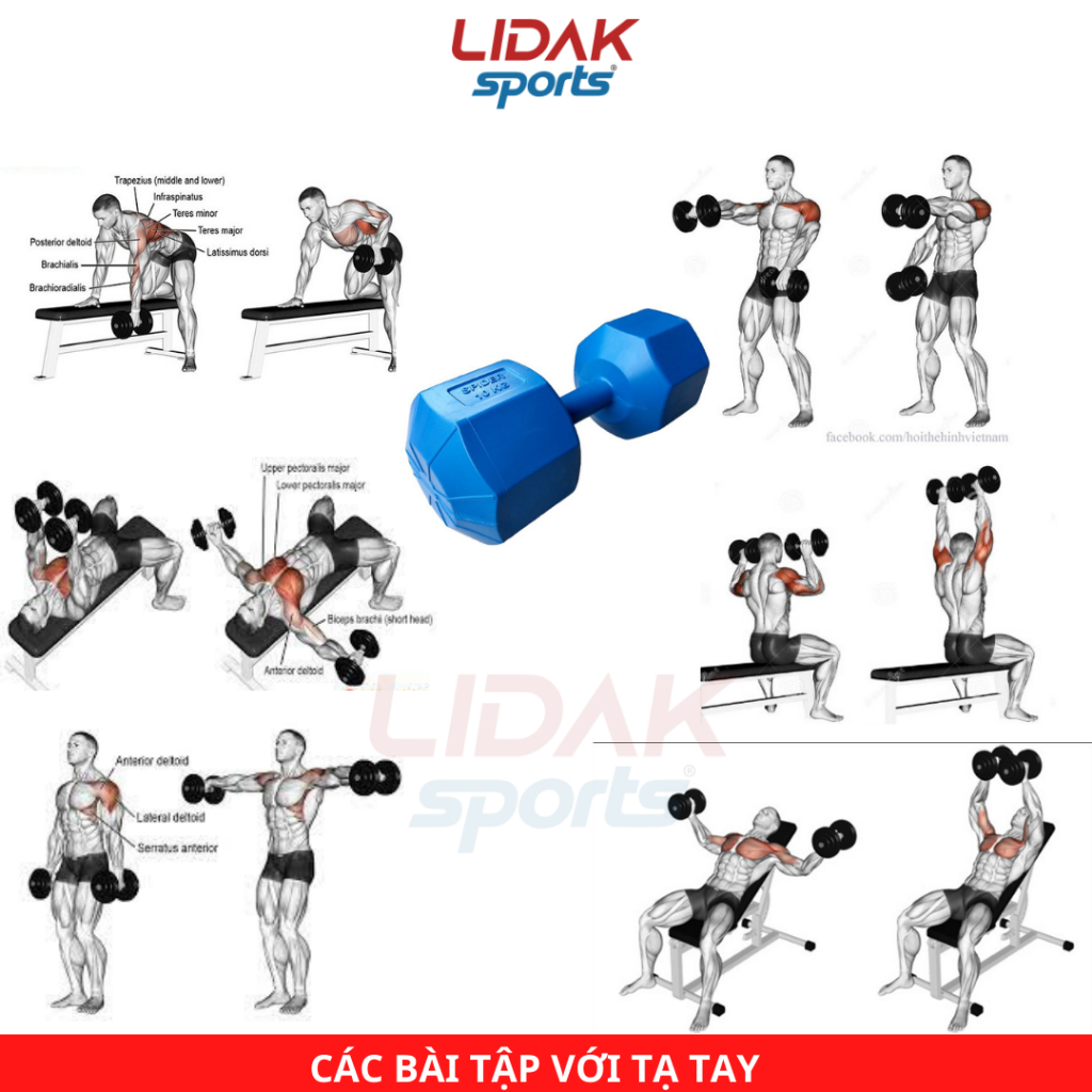 Tạ nhựa 5kg Lidak tập gym tại nhà có lõi thép chống gãy - LIDAK SPORT
