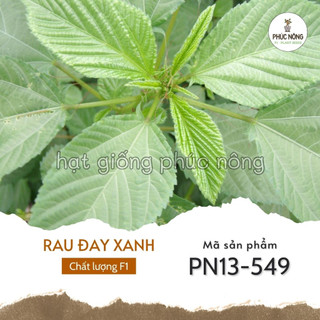 Hạt giống rau đay xanh - 10 gram