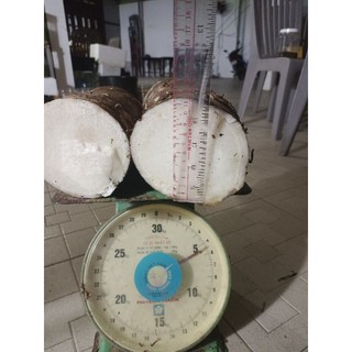 3kg bạc hà núi - núi cô tô an giang