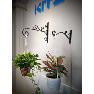 Móc treo giỏ hoa, chậu hoa,lồng chim gắn tường bằng sắt mỹ thuật PC04 +Kèm vít nở đầy đủ