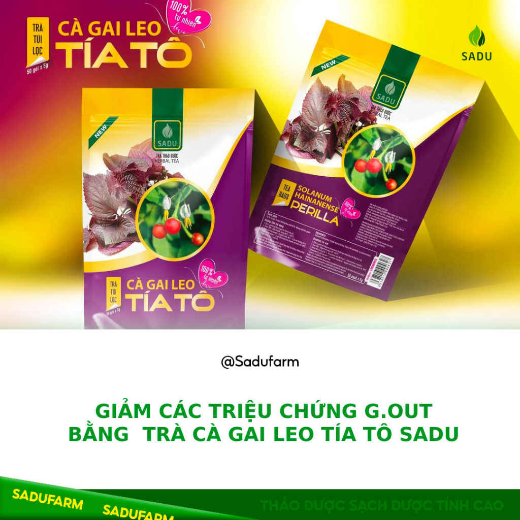 Trà TÍA TÔ cà gai leo  Sadu bịch 250g