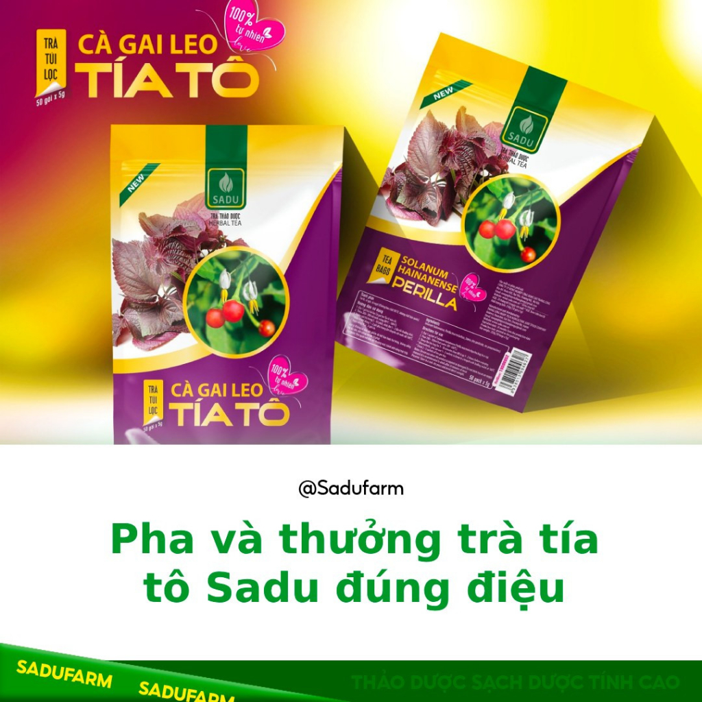 Trà TÍA TÔ cà gai leo  Sadu bịch 250g