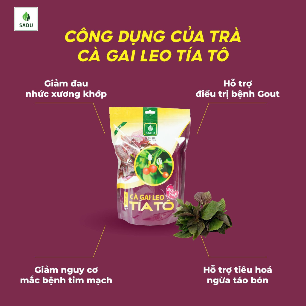 Trà TÍA TÔ cà gai leo  Sadu bịch 250g