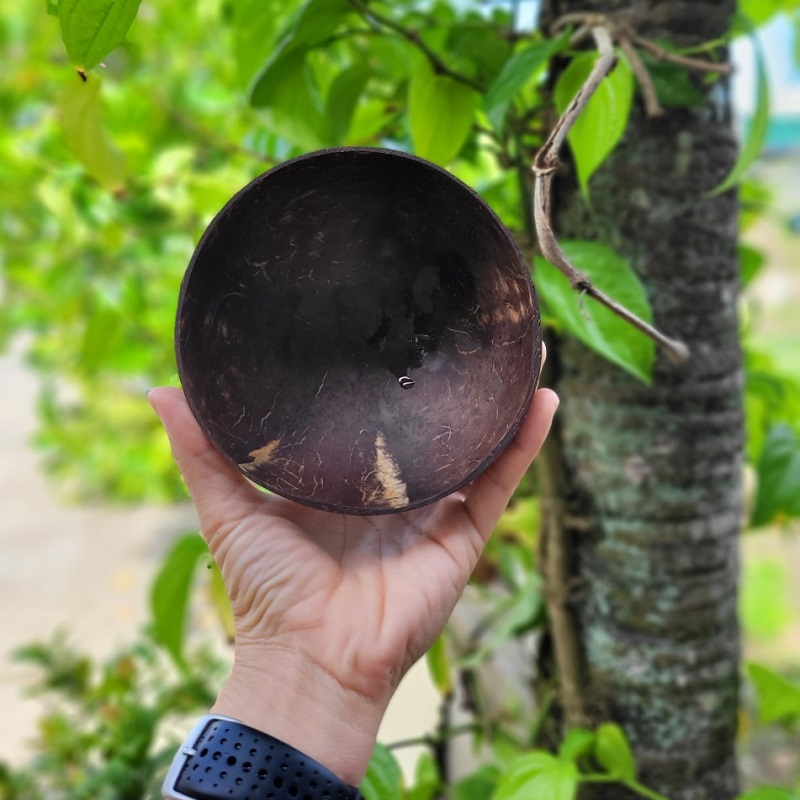 Bộ chén bát gáo dừa và thìa cao cấp dùng ăn granola Tiệm hạt Chang