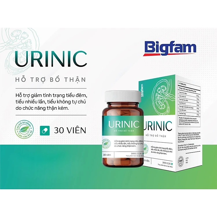 Viên Uống Urinic Big Family Hộp 30 Viên Hỗ Trợ Bổ Thận Giảm Tiểu Đêm Tiểu Nhiều Lần, Tiểu Không Tự Chủ Hộp 30 Viên