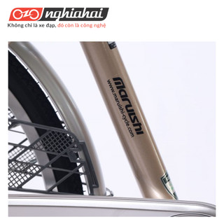 Xe đạp mini Nhật CAT2412