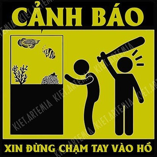 Trang Trí Bể Cá, Decal Dán Bể Cá Vui Nhộn