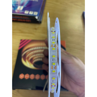Cuộn 5m Led dây dán 2835 12V 120led (Ánh sáng vàng, trắng, trung tính)