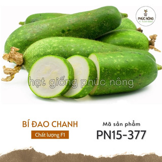 Hạt giống bí đao chanh - 15 hạt