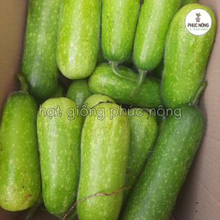 15 hạt - (Hỏa tốc) Hạt giống Bí Đao Chanh