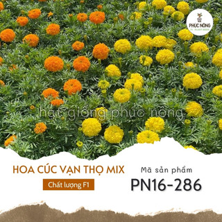 Hạt giống hoa cúc vạn thọ mix - 50 hạt