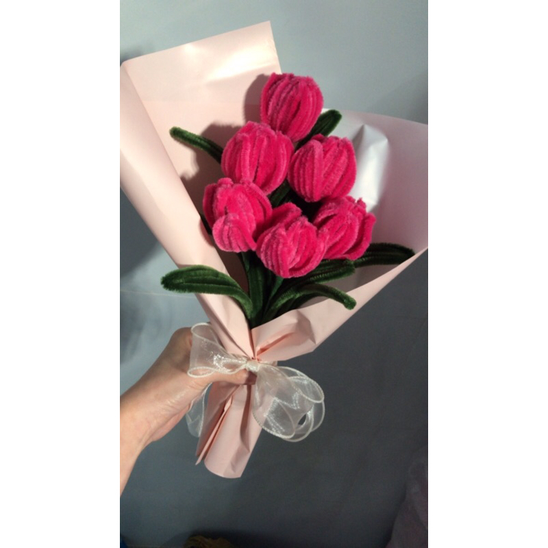 Hoa kẽm tulip