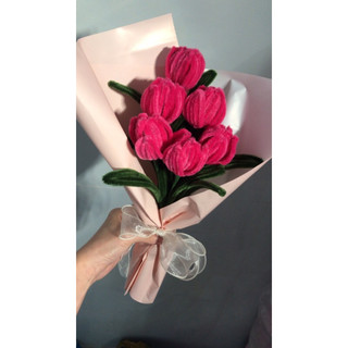 Hoa kẽm tulip
