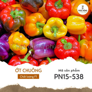 Hạt giống cây ớt chuông - 40 hạt