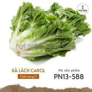 Hạt giống xà lách carol đà lạt - 1 gram